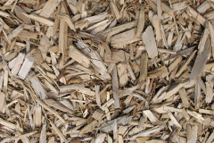 biomass boilers Barrachnie